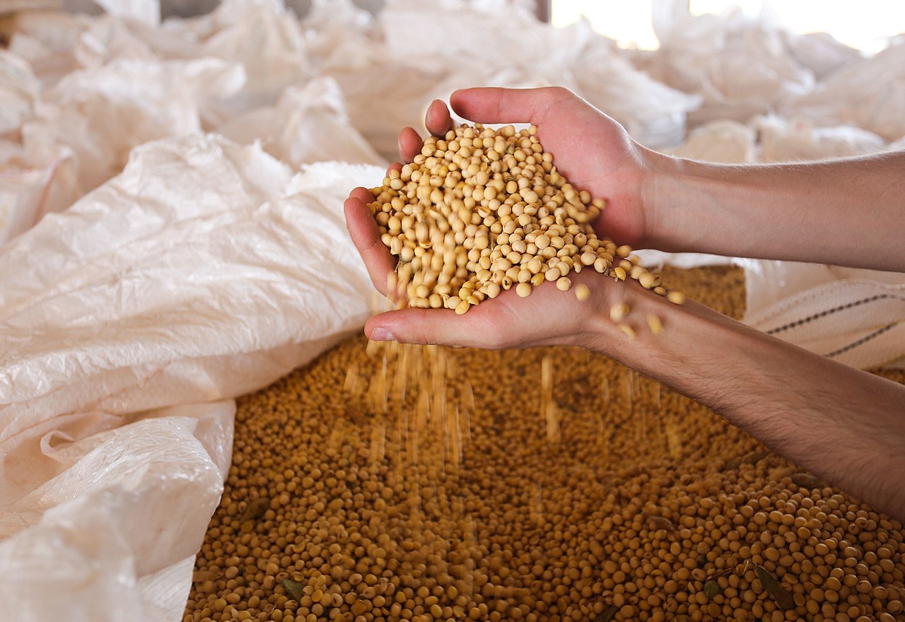 safra de grãos supera pandemia e mantém