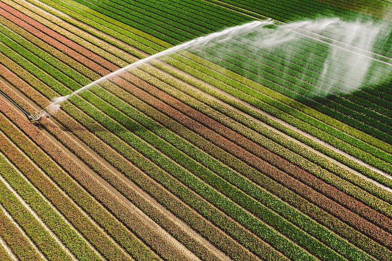 Programa Nacional de Agricultura Irrigada abre consulta pública para o Irriga Brasil