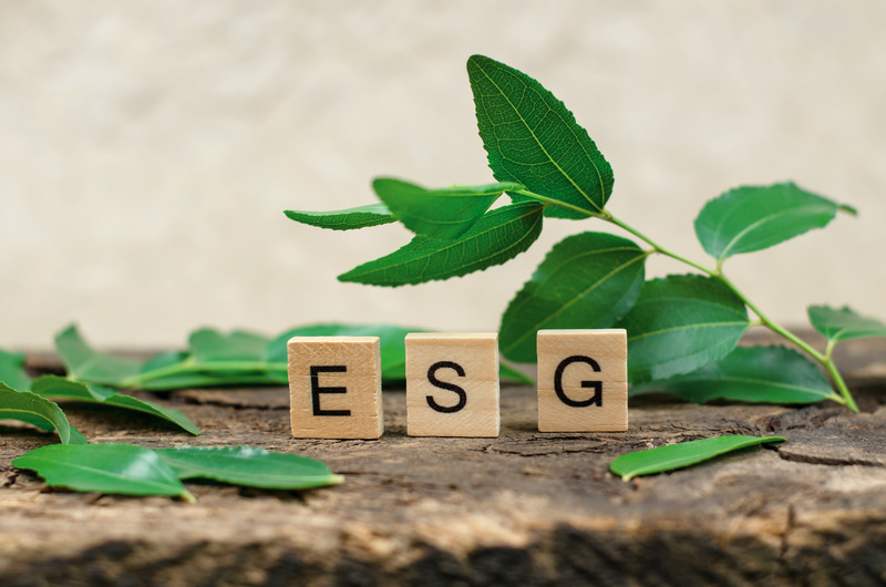 Sustentabilidade em foco: práticas ESG no agronegócio e a adaptação das empresas às demandas ambientais