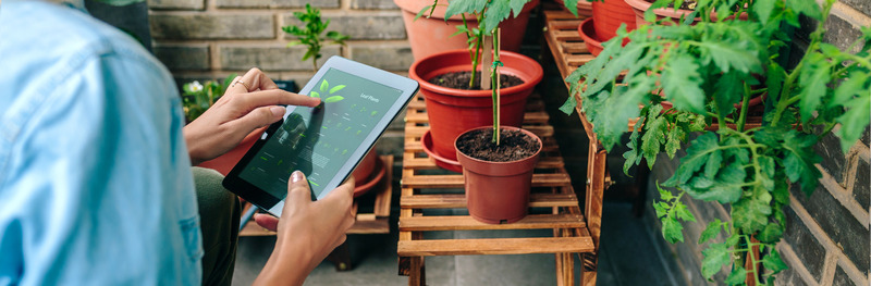 O uso de inteligência artificial na agropecuária brasileira: otimizando a produção e reduzindo custos