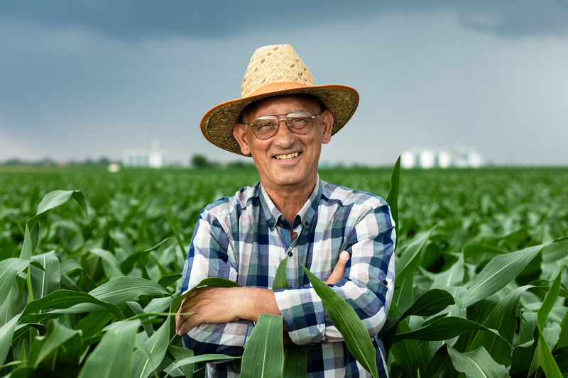 Exportações do agronegócio brasileiro crescem e atingem US$ 82,39 bilhões no primeiro semestre