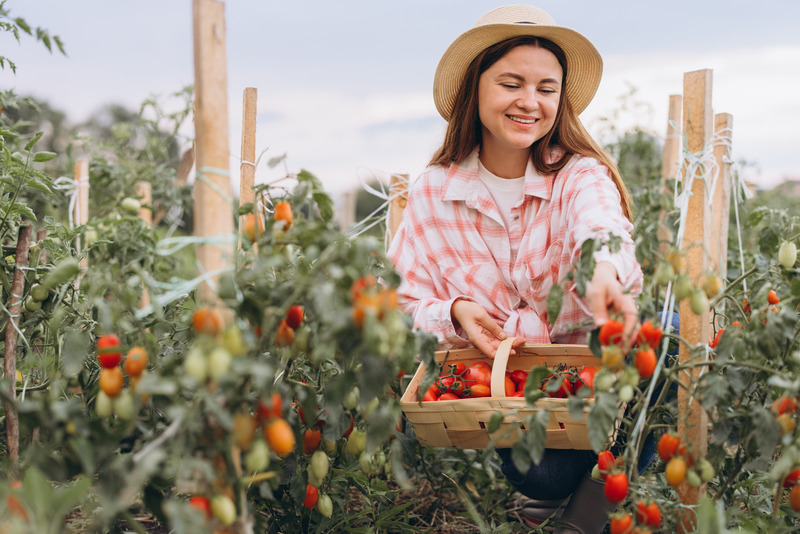 Agricultura sustentável: estratégias eficazes para reduzir o uso de água e insumos químicos