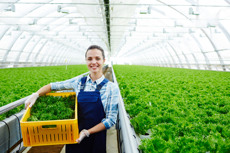 Brasil e Portugal assinam acordo para fortalecer o controle de produtos agroalimentares