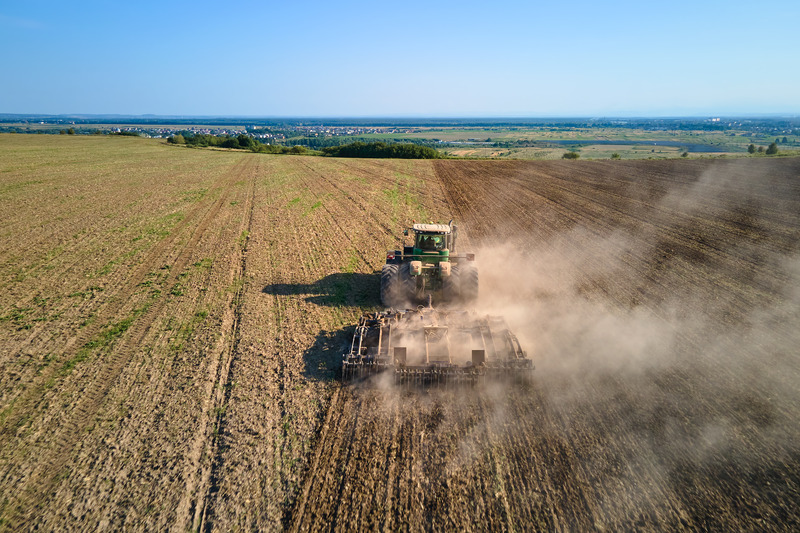 Integração Lavoura-Pecuária-Floresta: o futuro da sustentabilidade e produtividade no campo