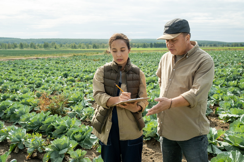 Previsão climática e planejamento agrícola: ferramentas essenciais para minimizar riscos