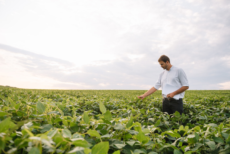 Exportações do agro brasileiro atingem recorde de US$ 14,19 bilhões em setembro de 2024