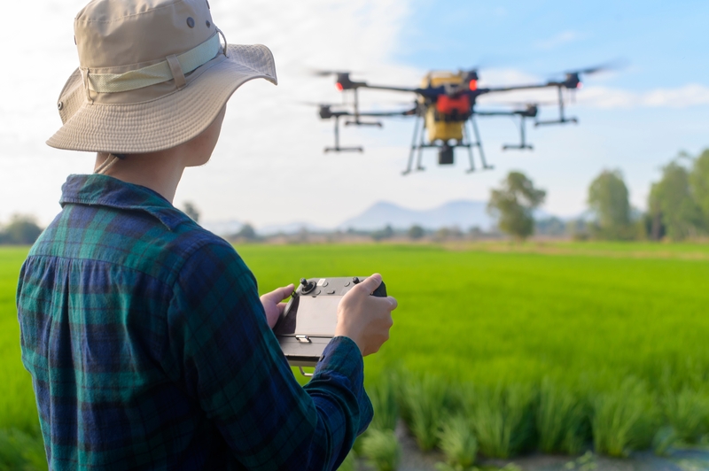 Drones na pecuária de corte: monitoramento do gado com alta tecnologia
