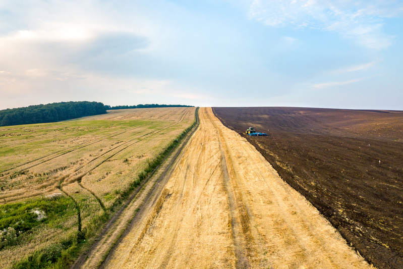 Mudanças climáticas e nutrição das plantas: impactos e ajustes