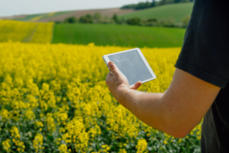 Plataformas integradas revolucionam a agropecuária ao unir tecnologia, gestão e sustentabilidade