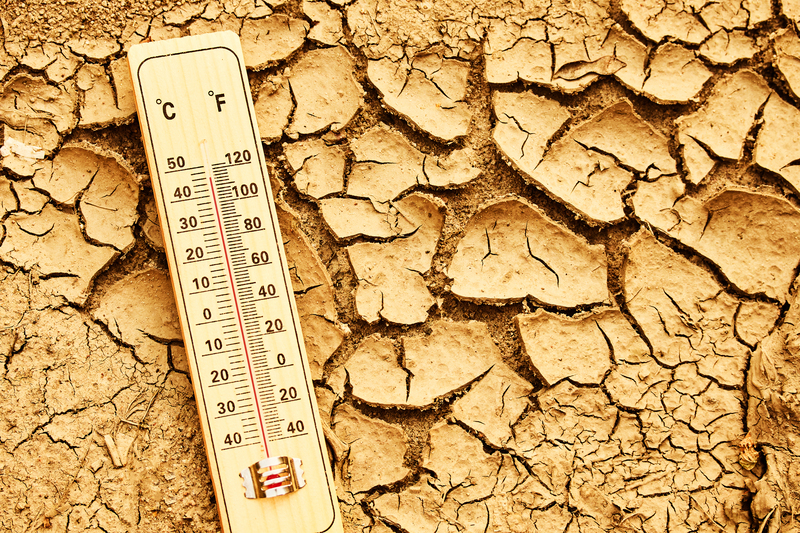 Clima e fertilidade: como o solo impacta direto na produtividade