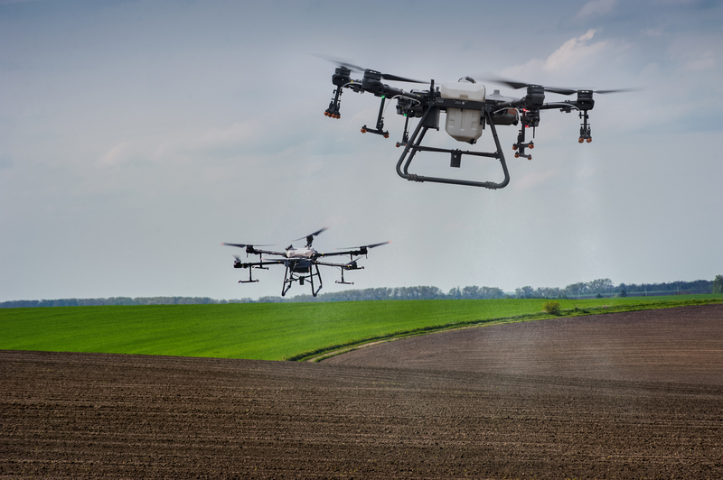 Drones para agricultura familiar: democratizando o acesso à tecnologia