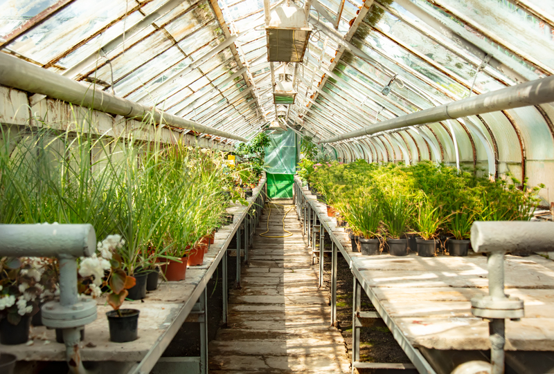 Estufas inteligentes: agricultura em ambiente controlado com máxima eficiência