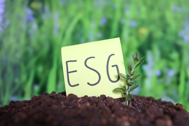 Relatórios ESG na pecuária: métricas, indicadores e boas práticas