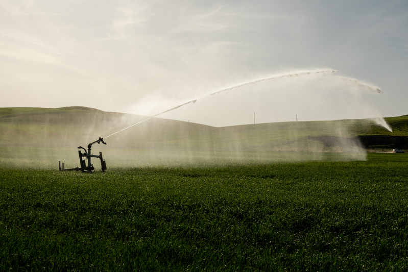 Gestão sustentável da água: ESG e o futuro da irrigação no Brasil