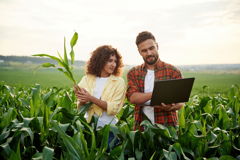 Plataformas agrícolas on-line: tendência irreversível no varejo rural