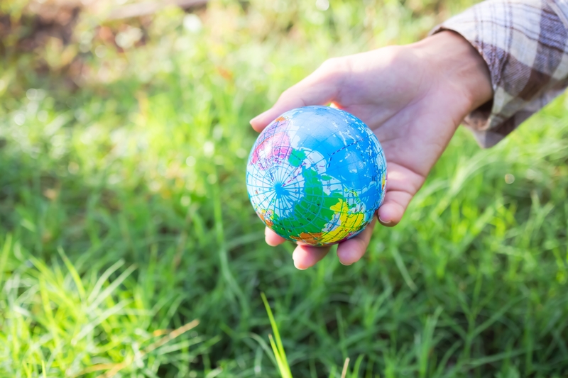 Tecnologia verde: como a inovação está reduzindo o impacto ambiental da agricultura