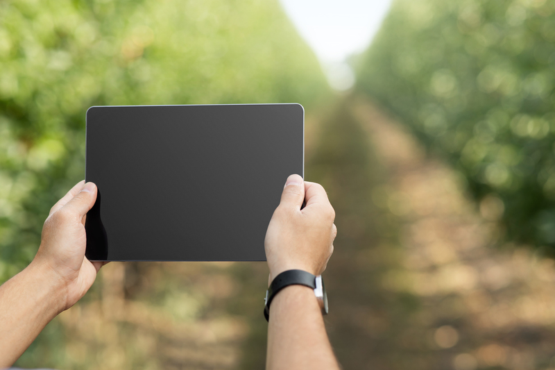 Do campo à nuvem: a digitalização total da cadeia agro já começou