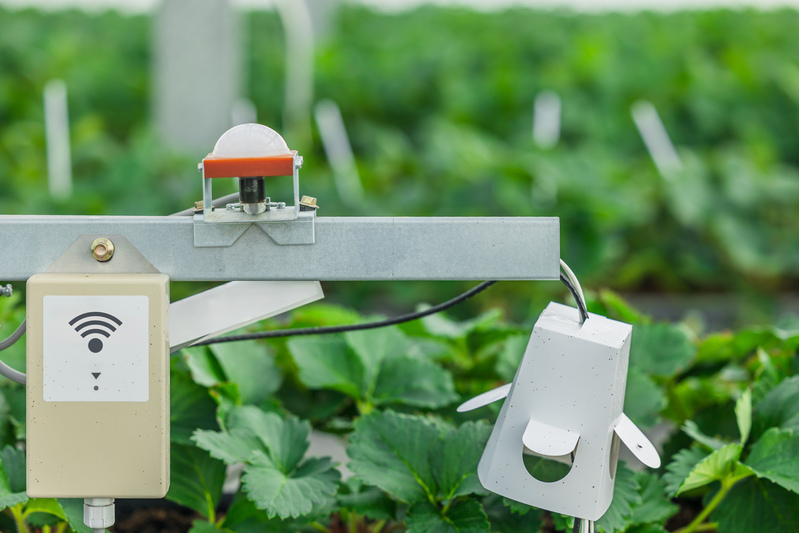 Sensores biológicos: quando a agricultura passa a ‘sentir’ o ambiente