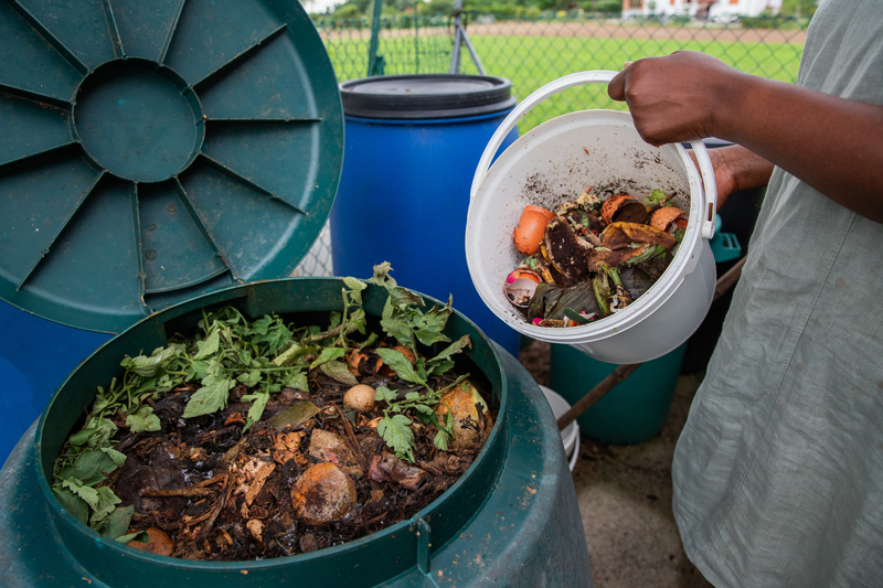Compostagem no campo ganha espaço como solução sustentável para o solo