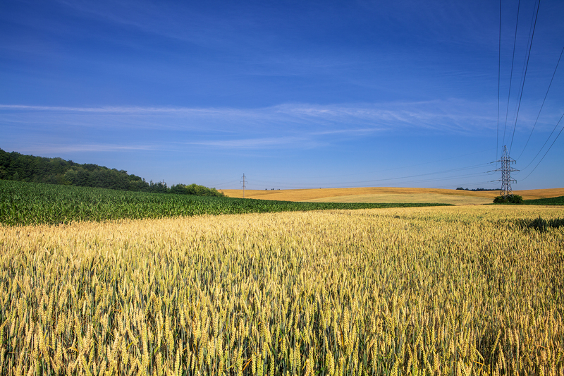 Geotecnologia transforma a tomada de decisão no campo e redefine o planejamento agronômico