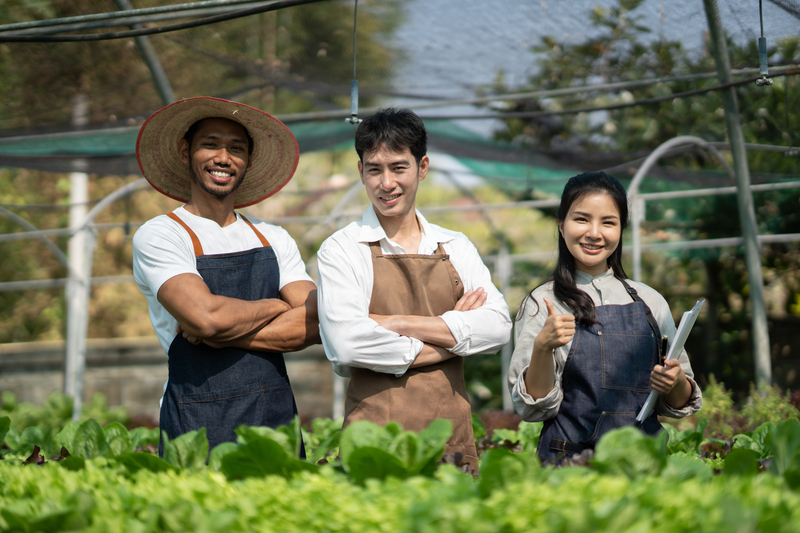 Compliance no campo transforma ética e transparência em vantagem estratégica para o agronegócio