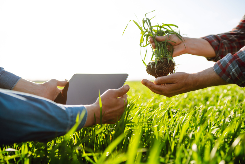 Tecnologia sem fio transforma o campo e amplia conectividade na produção agrícola