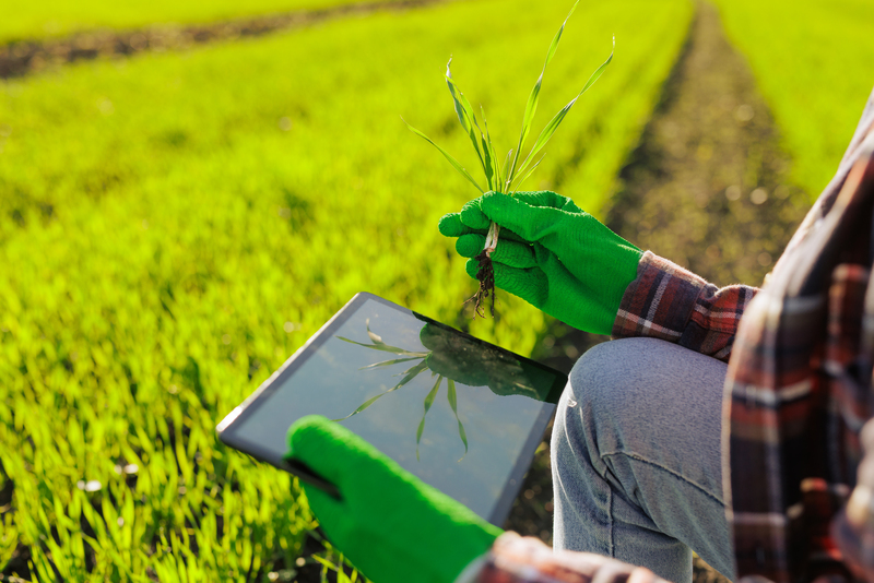 Agricultura de precisão avança e redefine eficiência no campo brasileiro