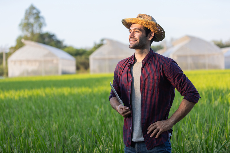 Agricultura de baixo impacto ganha espaço e redefine práticas no agro brasileiro