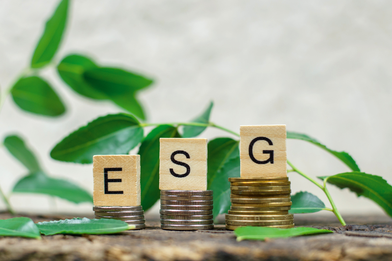 ESG e exportações: o que o mercado internacional espera do agro brasileiro