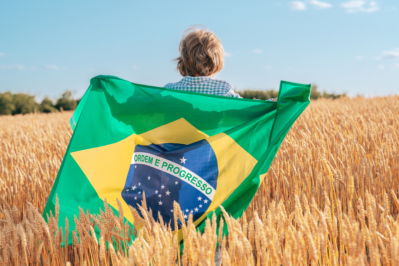 Fazendas brasileiras entram no radar global e impulsionam movimento de internacionalização no agro