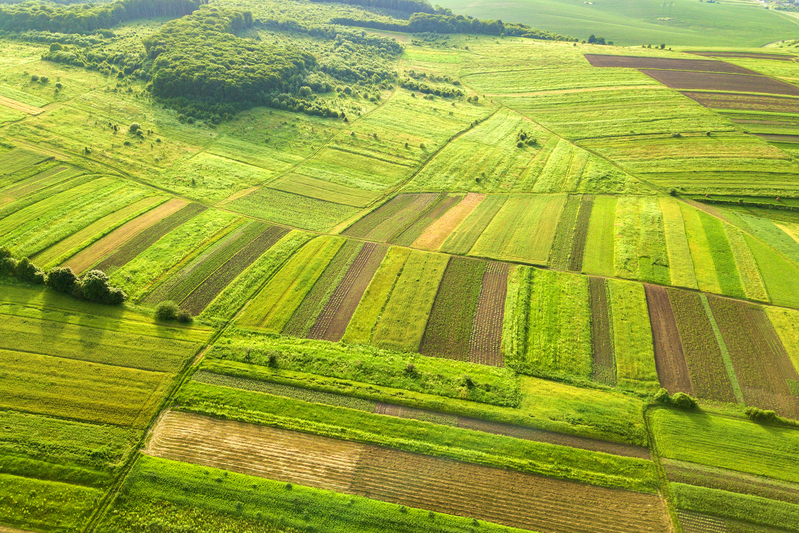 Tecnologia verde-azul integra agricultura e aquicultura e amplia eficiência no campo