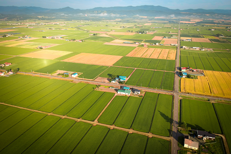 Agricultura customizada: a revolução silenciosa que leva o insumo certo ao lugar certo