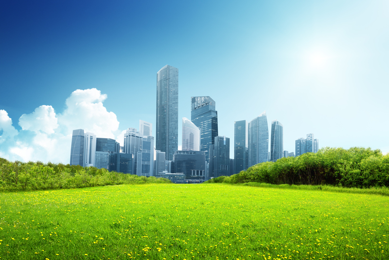 De consumidor para coprodutor: a nova relação entre campo e cidade