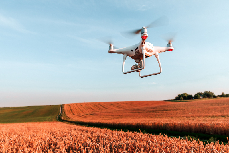 Drones transformam inventário florestal e ampliam eficiência na gestão ambiental