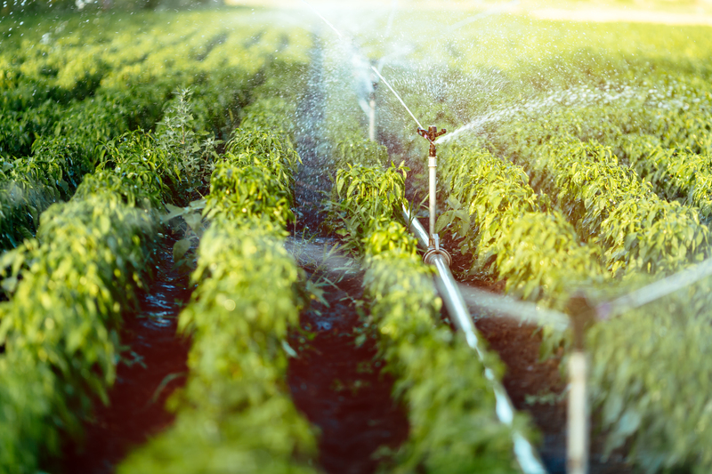 Pegada Hídrica no Campo: a estratégia que está transformando o uso da água na agropecuária