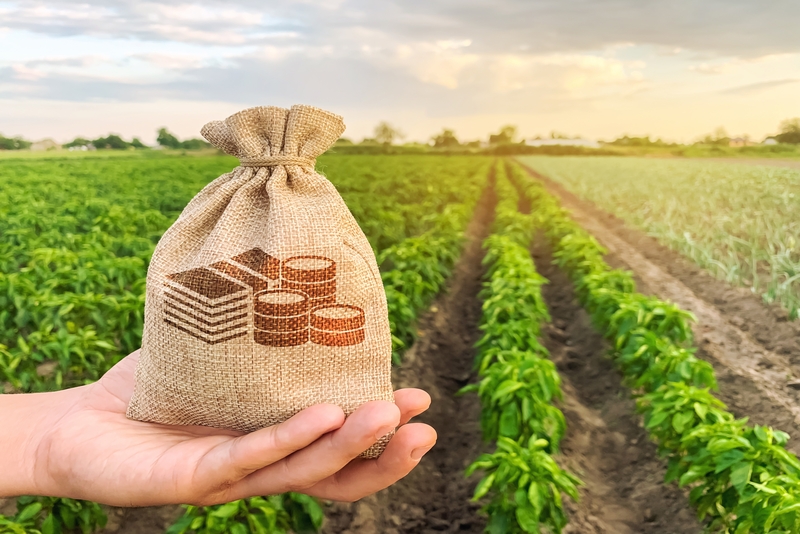 VBP do Agro Alcança R$ 1,4 Trilhão e Reforça Força do Campo