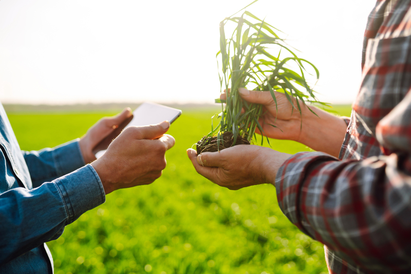 Crédito rural reforça novos caminhos de financiamento para o agronegócio brasileiro