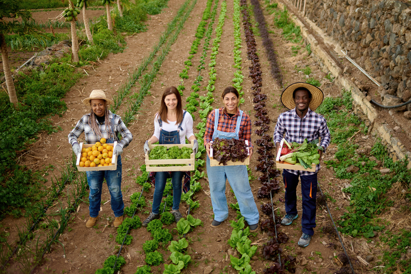 Personalização Alimentar transforma o agro e impulsiona uma nova forma de produzir alimentos