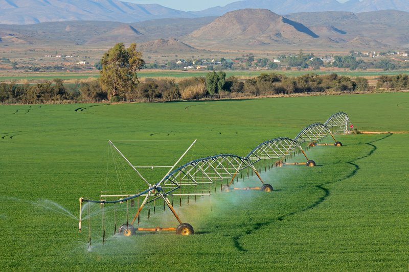 Planejamento hídrico transforma a gestão rural diante das mudanças no clima