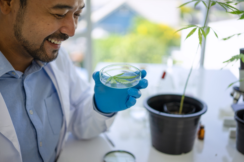 Microrganismos multifuncionais: quando a biologia amplia as possibilidades do campo