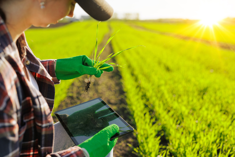 Agricultura bioinspirada: o que a natureza está ensinando à tecnologia