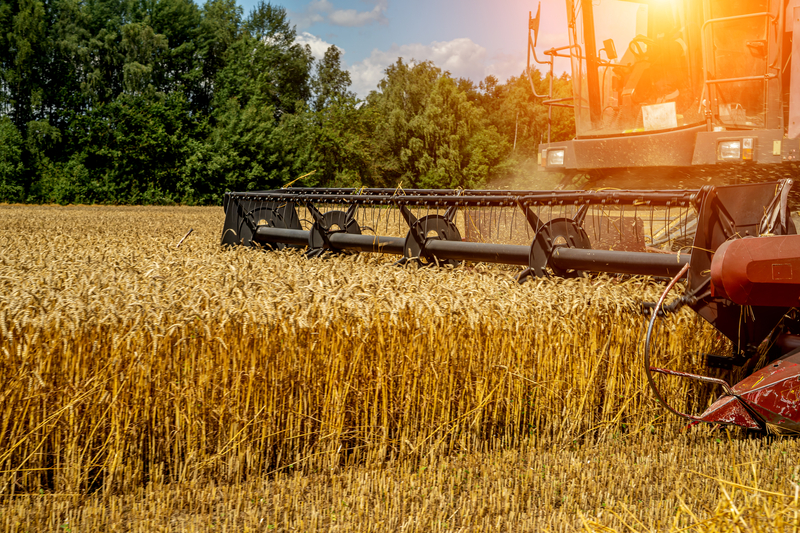 O crescimento da agropecuária especializada impulsiona novos mercados e amplia oportunidades no campo