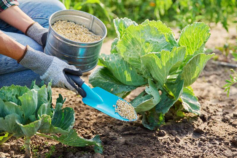 Novas fronteiras dos bioinsumos ampliam possibilidades para a agricultura brasileira