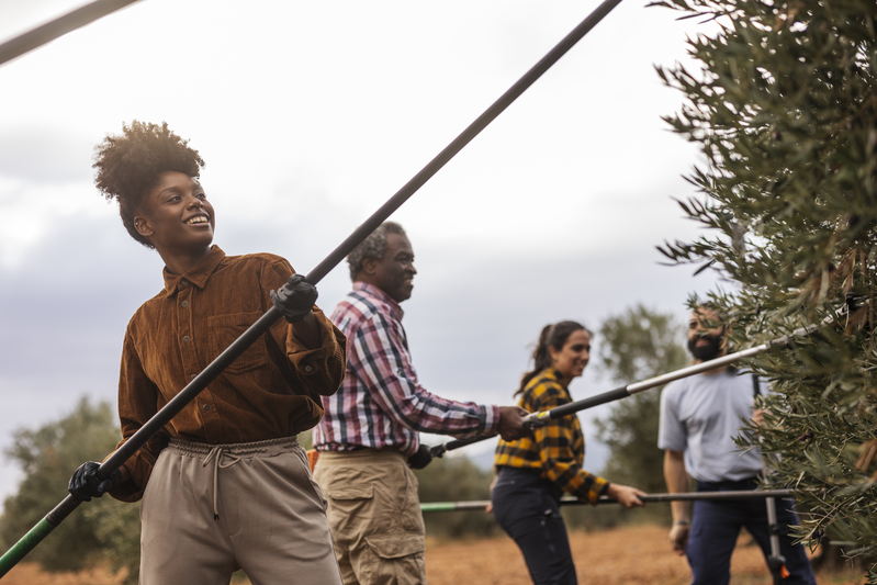 Cultura organizacional no campo: o pilar invisível que fortalece a sustentabilidade das propriedades rurais