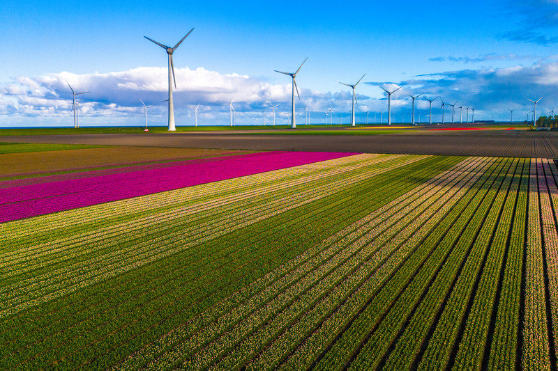 Paisagens produtivas revelam um novo olhar sobre a integração entre agropecuária e conservação