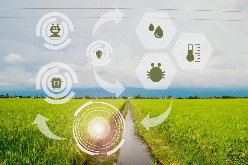 Conectividade rural inteligente amplia as possibilidades de gestão no campo