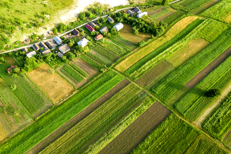 Quando diferentes atividades dividem a mesma área, a produção ganha outra lógica
