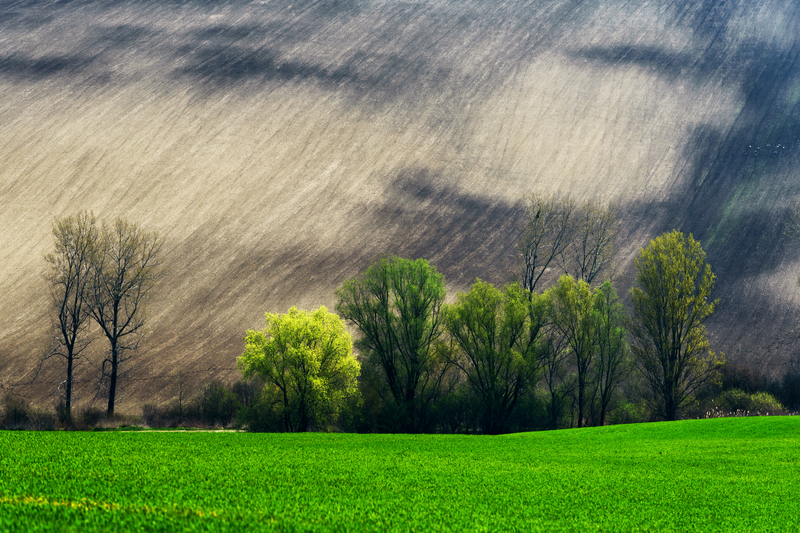 Gestão climática baseada em dados: o novo caminho da eficiência rural